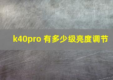 k40pro 有多少级亮度调节